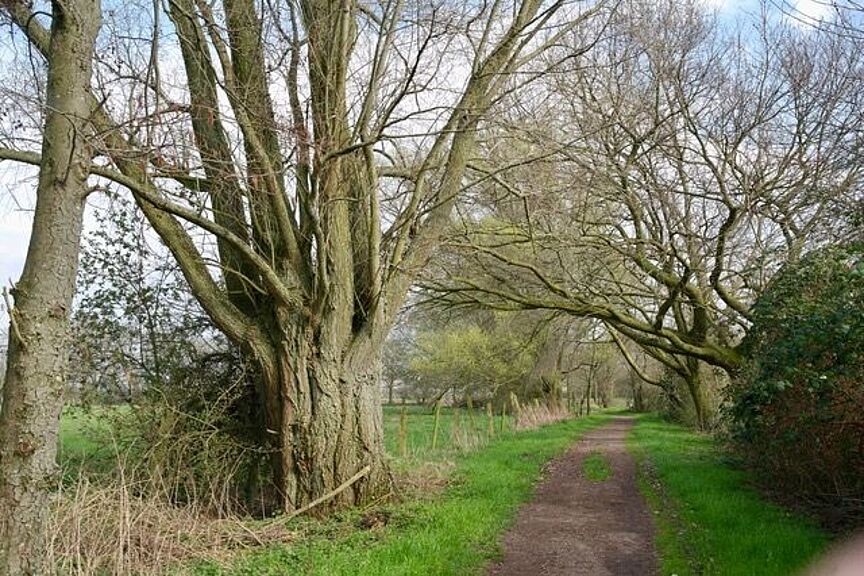 Mit dem Rad durch die Ilvericher Altrheinschlinge